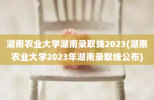 湖南农业大学湖南录取线2023(湖南农业大学2023年湖南录取线公布)