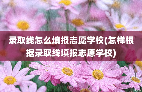 录取线怎么填报志愿学校(怎样根据录取线填报志愿学校)