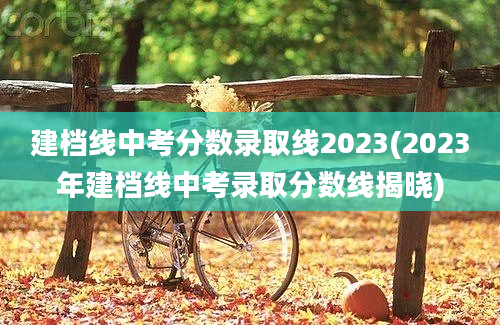 建档线中考分数录取线2023(2023年建档线中考录取分数线揭晓)