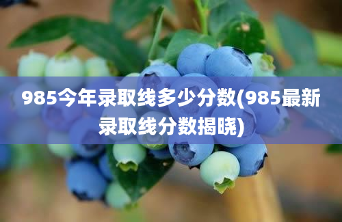 985今年录取线多少分数(985最新录取线分数揭晓)