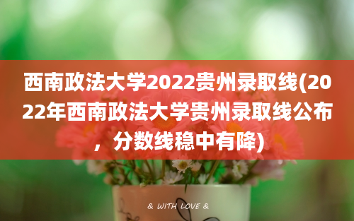 西南政法大学2022贵州录取线(2022年西南政法大学贵州录取线公布，分数线稳中有降)