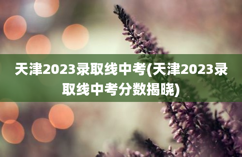 天津2023录取线中考(天津2023录取线中考分数揭晓)