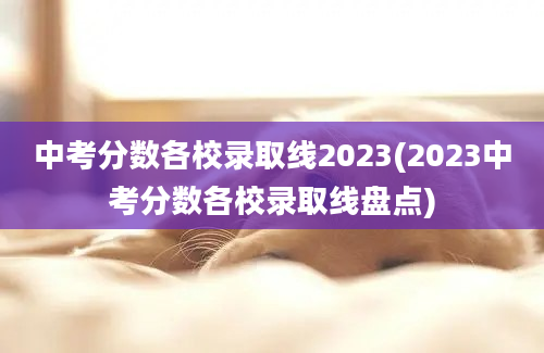 中考分数各校录取线2023(2023中考分数各校录取线盘点)