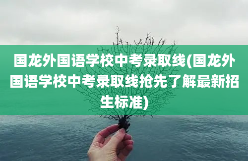 国龙外国语学校中考录取线(国龙外国语学校中考录取线抢先了解最新招生标准)