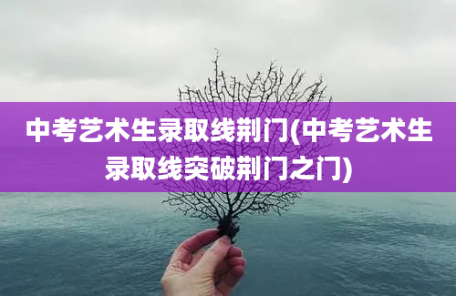 中考艺术生录取线荆门(中考艺术生录取线突破荆门之门)