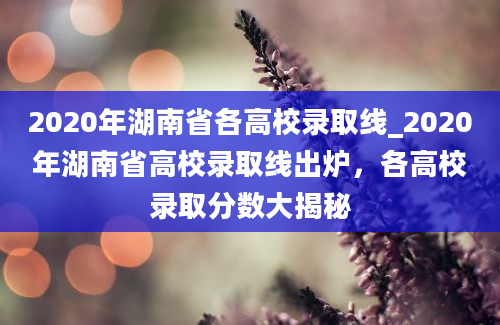 2020年湖南省各高校录取线_2020年湖南省高校录取线出炉，各高校录取分数大揭秘