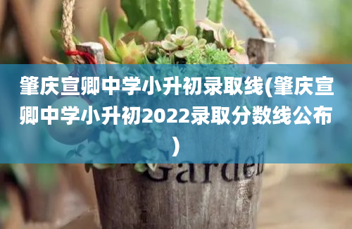 肇庆宣卿中学小升初录取线(肇庆宣卿中学小升初2022录取分数线公布)