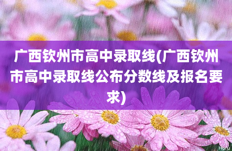 广西钦州市高中录取线(广西钦州市高中录取线公布分数线及报名要求)