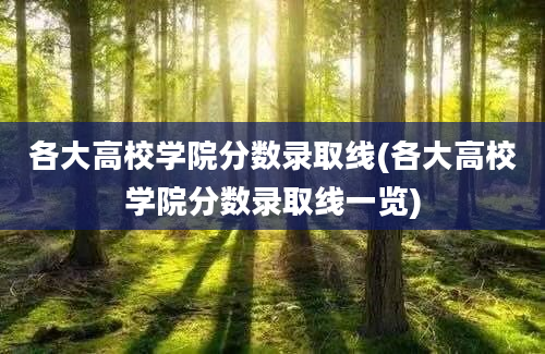 各大高校学院分数录取线(各大高校学院分数录取线一览)