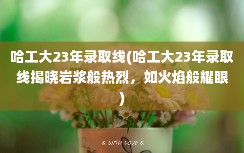 哈工大23年录取线(哈工大23年录取线揭晓岩浆般热烈，如火焰般耀眼)