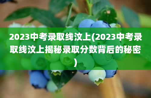 2023中考录取线汶上(2023中考录取线汶上揭秘录取分数背后的秘密)