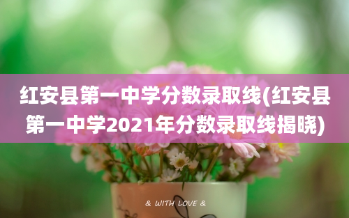 红安县第一中学分数录取线(红安县第一中学2021年分数录取线揭晓)