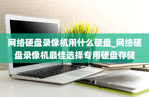 网络硬盘录像机用什么硬盘_网络硬盘录像机最佳选择专用硬盘存储