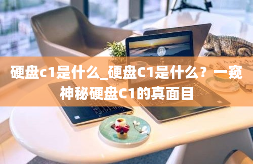 硬盘c1是什么_硬盘C1是什么？一窥神秘硬盘C1的真面目