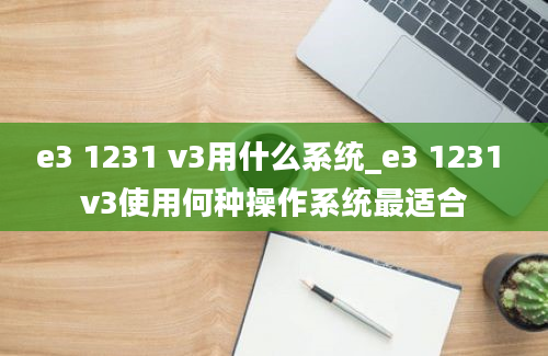 e3 1231 v3用什么系统_e3 1231 v3使用何种操作系统最适合