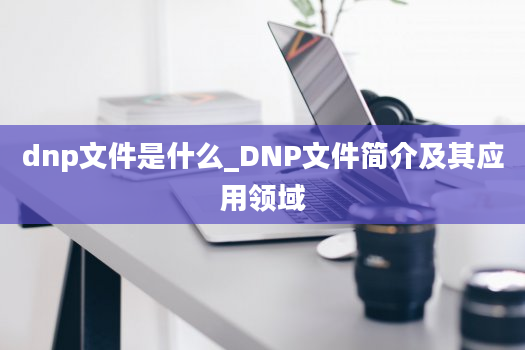 dnp文件是什么_DNP文件简介及其应用领域