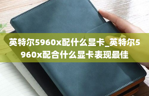 英特尔5960x配什么显卡_英特尔5960x配合什么显卡表现最佳