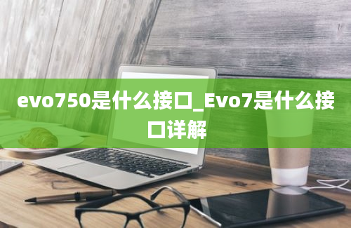 evo750是什么接口_Evo7是什么接口详解