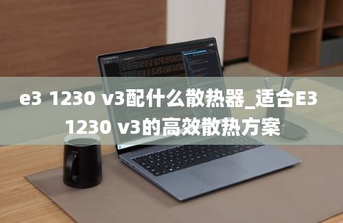 e3 1230 v3配什么散热器_适合E3 1230 v3的高效散热方案