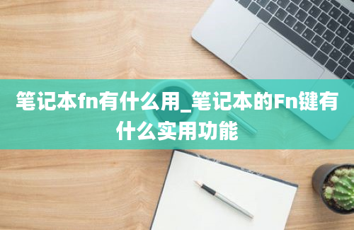 笔记本fn有什么用_笔记本的Fn键有什么实用功能