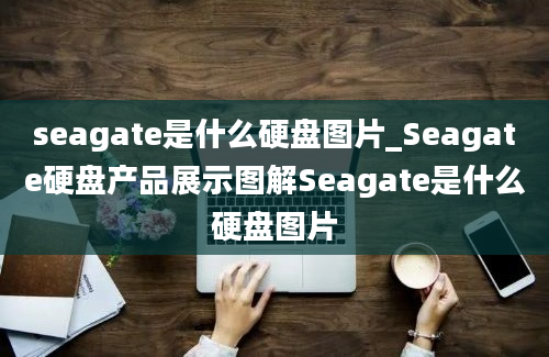 seagate是什么硬盘图片_Seagate硬盘产品展示图解Seagate是什么硬盘图片