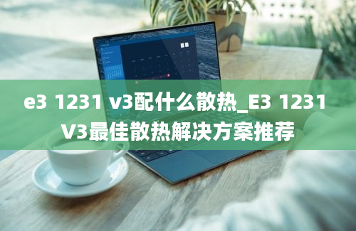 e3 1231 v3配什么散热_E3 1231 V3最佳散热解决方案推荐