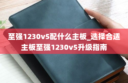 至强1230v5配什么主板_选择合适主板至强1230v5升级指南