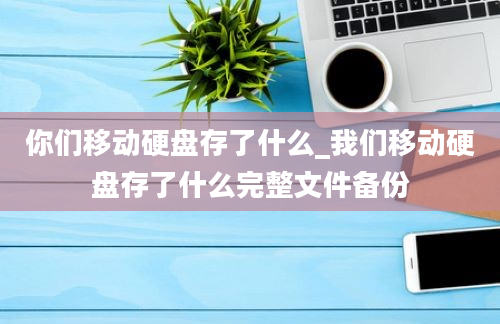 你们移动硬盘存了什么_我们移动硬盘存了什么完整文件备份