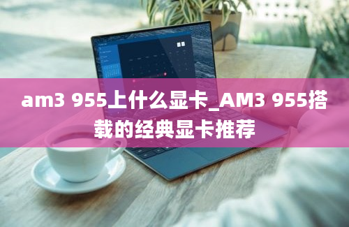 am3 955上什么显卡_AM3 955搭载的经典显卡推荐