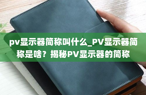 pv显示器简称叫什么_PV显示器简称是啥？揭秘PV显示器的简称