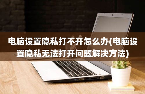 电脑设置隐私打不开怎么办(电脑设置隐私无法打开问题解决方法)