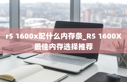 r5 1600x配什么内存条_R5 1600X最佳内存选择推荐