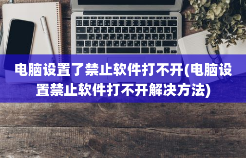 电脑设置了禁止软件打不开(电脑设置禁止软件打不开解决方法)