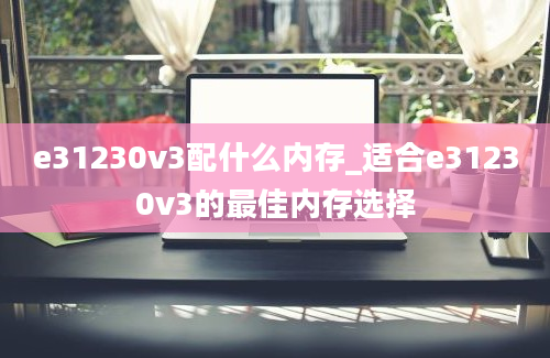 e31230v3配什么内存_适合e31230v3的最佳内存选择