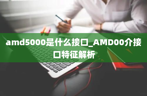 amd5000是什么接口_AMD00介接口特征解析