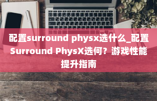 配置surround physx选什么_配置Surround PhysX选何？游戏性能提升指南