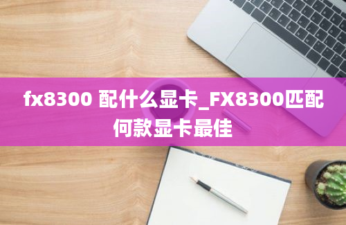 fx8300 配什么显卡_FX8300匹配何款显卡最佳