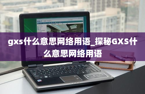 gxs什么意思网络用语_探秘GXS什么意思网络用语