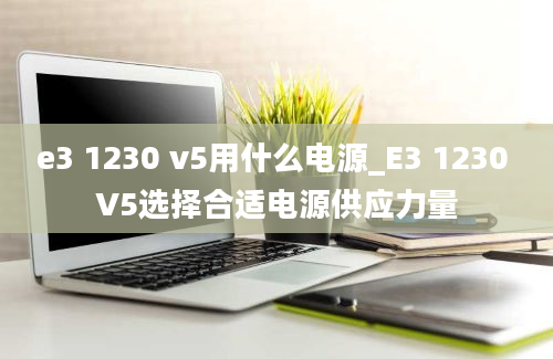 e3 1230 v5用什么电源_E3 1230 V5选择合适电源供应力量