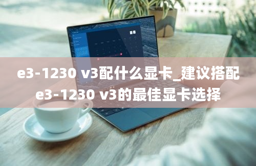 e3-1230 v3配什么显卡_建议搭配e3-1230 v3的最佳显卡选择