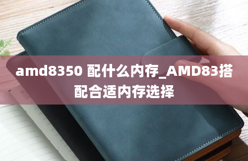 amd8350 配什么内存_AMD83搭配合适内存选择
