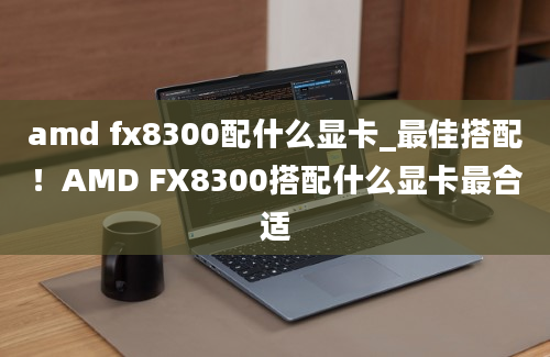 amd fx8300配什么显卡_最佳搭配！AMD FX8300搭配什么显卡最合适