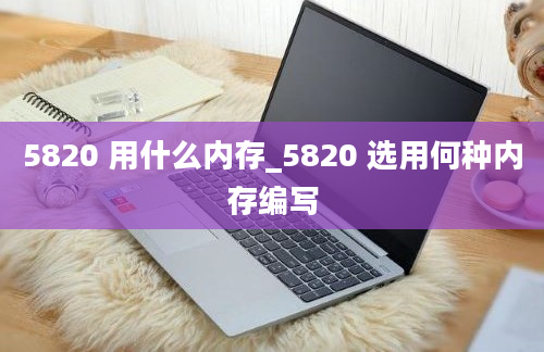 5820 用什么内存_5820 选用何种内存编写