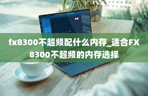 fx8300不超频配什么内存_适合FX8300不超频的内存选择