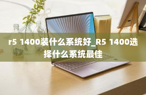 r5 1400装什么系统好_R5 1400选择什么系统最佳