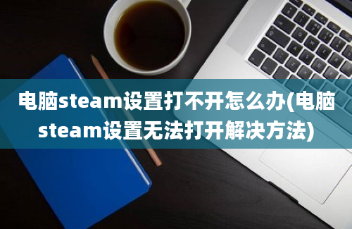 电脑steam设置打不开怎么办(电脑steam设置无法打开解决方法)