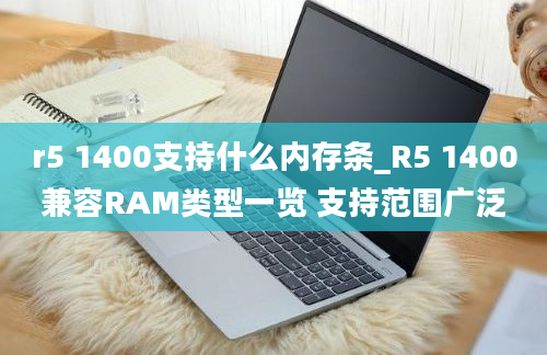 r5 1400支持什么内存条_R5 1400兼容RAM类型一览 支持范围广泛