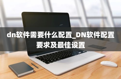 dn软件需要什么配置_DN软件配置要求及最佳设置