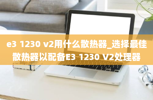 e3 1230 v2用什么散热器_选择最佳散热器以配备E3 1230 V2处理器