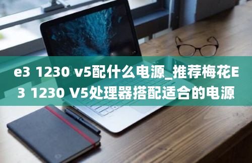 e3 1230 v5配什么电源_推荐梅花E3 1230 V5处理器搭配适合的电源